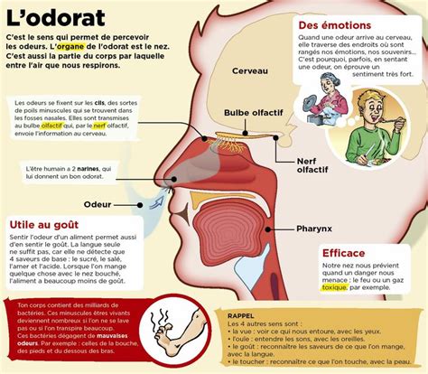 l'odeur meaning.